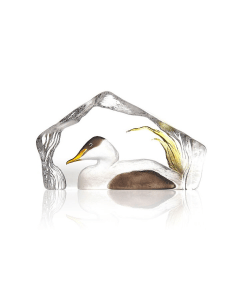 Maleras Eider Duck Crystal Sculpture, Handcrafted Swedish Cast Crystal Figurine, Hand-Painted Duck Design, Signed by Mats Jonasson - White & Black
