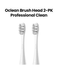 Oclean Professional Clean Brush Head (2-Pack) - Grey | C04000273