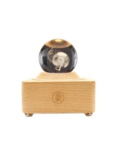 Home Tree Crystal Ball Bluetooth Speaker, Dandelion LED Projector Night Lamp, 1200mAh Rechargeable Battery, Portable Bluetooth Music Box