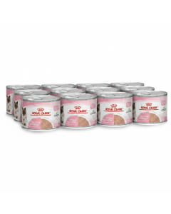 Royal Canin Mother & Babycat Wet Cat Food - Essential Nutrition for Kittens & Queens