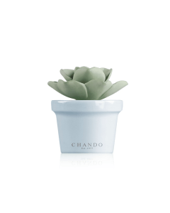 Chando Aroma Porcelain Diffuser Mini Succulent, White Tide Fragrance, Long-Lasting Home Aroma, Decorative Ceramic Design for Rooms up to 4sqm - 40ml 