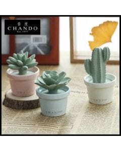 Chando Mini Succulent Pack Reed Diffuser Set 3 x 40ml Home Fragrance Diffusers