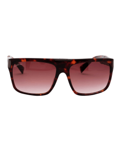 Baldinini Sunglasses 1403.202, Oversized Square Frame, Tortoise Shell Acetate, Gradient Brown UV Protection Lenses, Premium Designer Eyewear