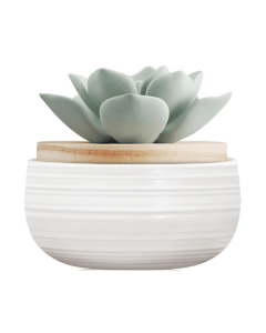 Chando Tealeaf & Bergamot Fragrance Diffuser, Home Air Freshener, 1-Month Diffusion, Ideal for Rooms up to 12sqm - 100ml 