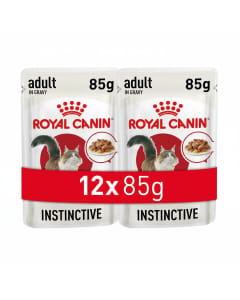 Royal Canin Feline Health Nutrition Gravy Wet Food for Adult Cats - 12 Packs of 85g