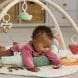 Skip Hop Baby Activity Play Gym Mat Developmental Hanging Toys Tummy Time Infant Sensory Newborn 0-12 Months Play | 9R257810
