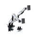 Epic Gamers Elite Dual Gas Spring RGB Monitor Arm – Adjustable Dual Monitor Mount Stand | White – EG-EDSMA-W