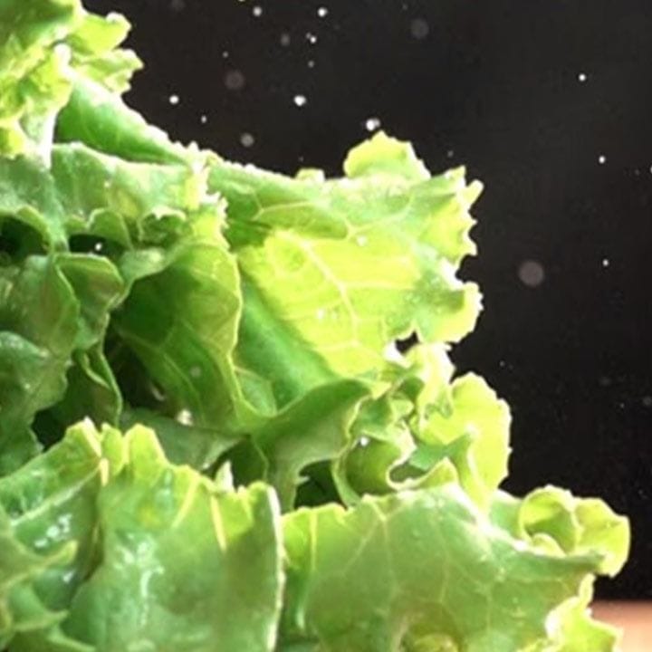 LG Double Door Refrigerator 496L, Smart Inverter Compressor, Door Cooling+, Linear Cooling - Platinum Silver - GN-R702SFAH