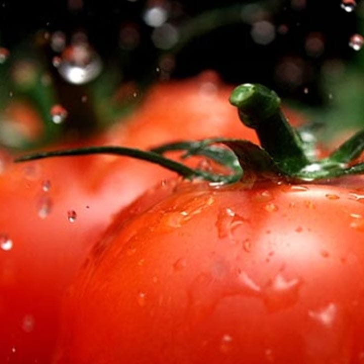 LG Double Door Refrigerator 496L, Smart Inverter Compressor, Door Cooling+, Linear Cooling - Platinum Silver - GN-R702SFAH