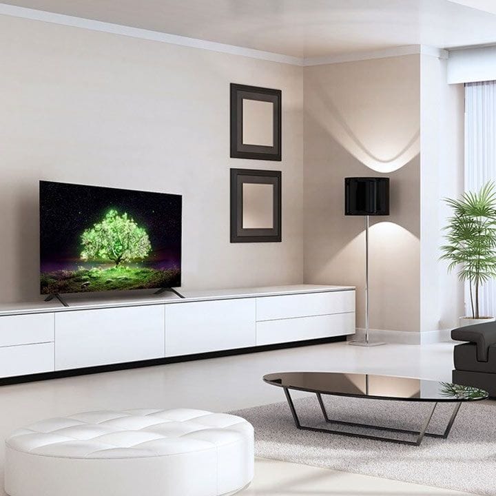 LG 65" OLED 4K TV - Indonesia | OLED65A1PVA