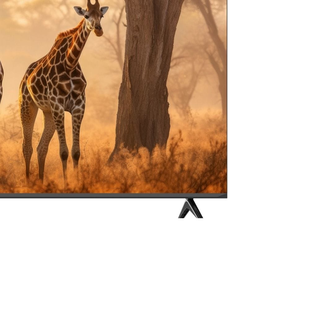 Oscar 55" Frameless QLED 4K UHD Smart WebOS TV, HDR10, Magic Remote, DVB-T2/S2 & CI Slot | Azeri - OS55QSW4KA
