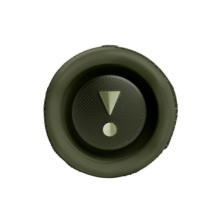 JBL Flip 6 Portable Waterproof Speaker - Green