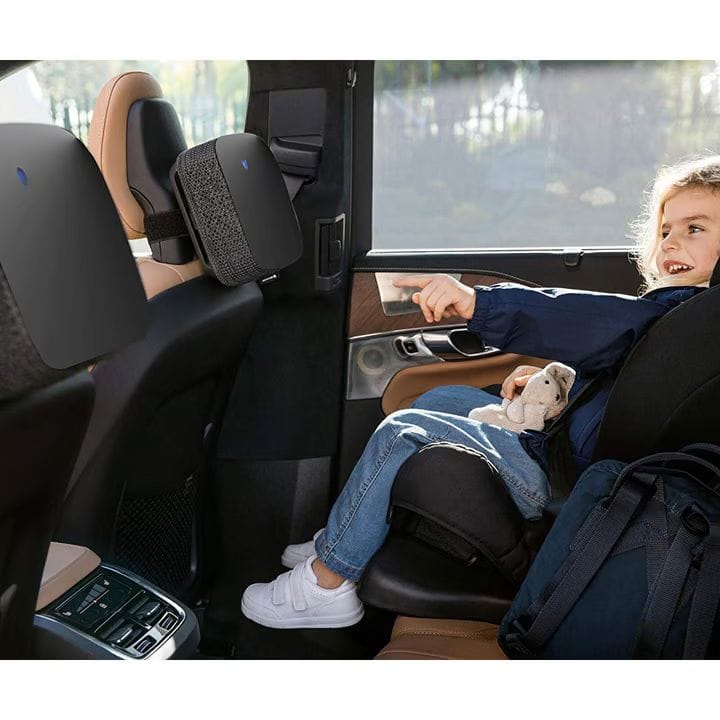 Blueair CABIN P1D Car Air Purifier   