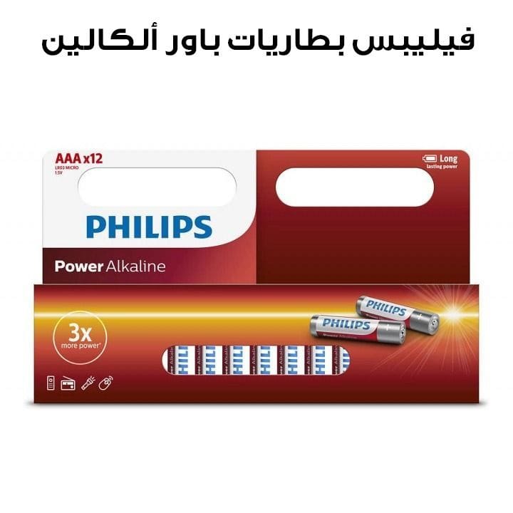 Philips Power Alkaline AAA 12-Window Pack |LR03P12B/97
