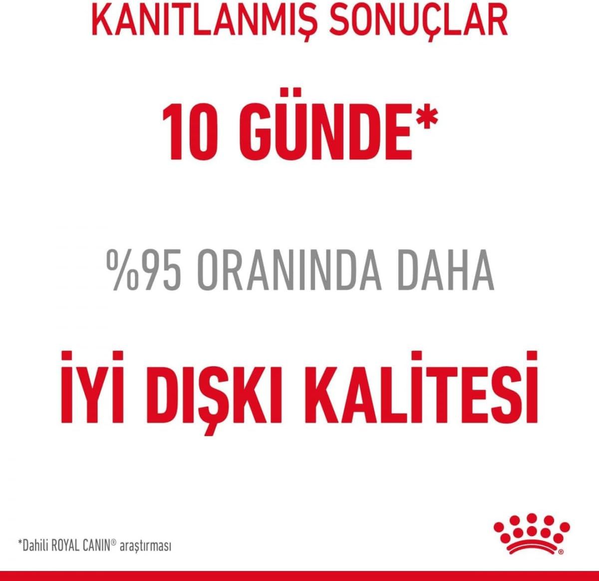 Royal Canin Digest Sensitive Cat Food in Gravy, 12 Pouches - 85g Each