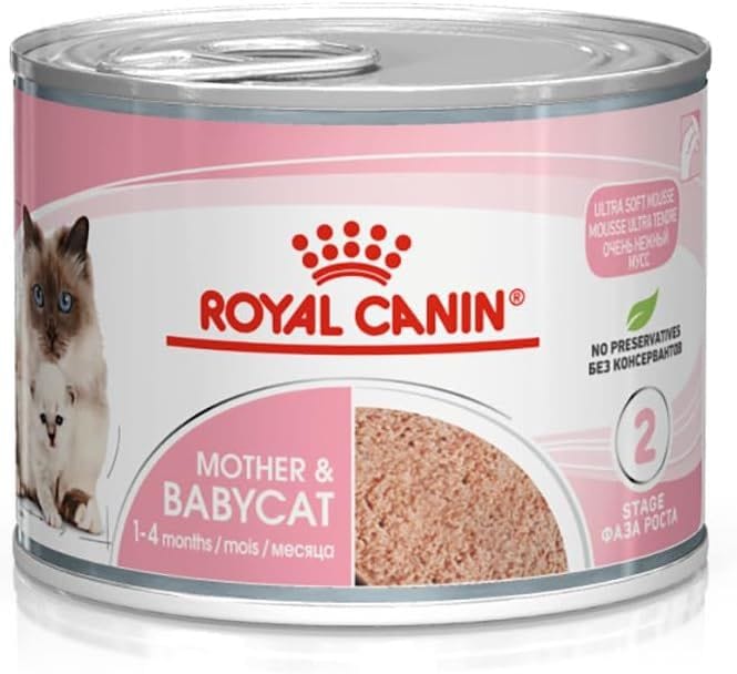 Royal Canin Mother & Babycat Wet Cat Food - Essential Nutrition for Kittens & Queens