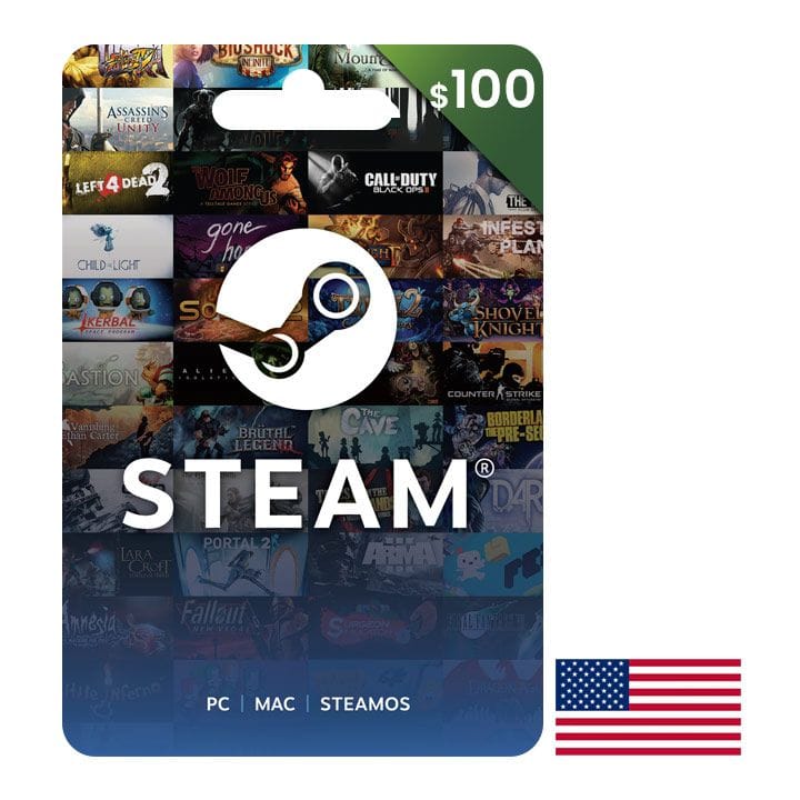 STEAM USA USD 100