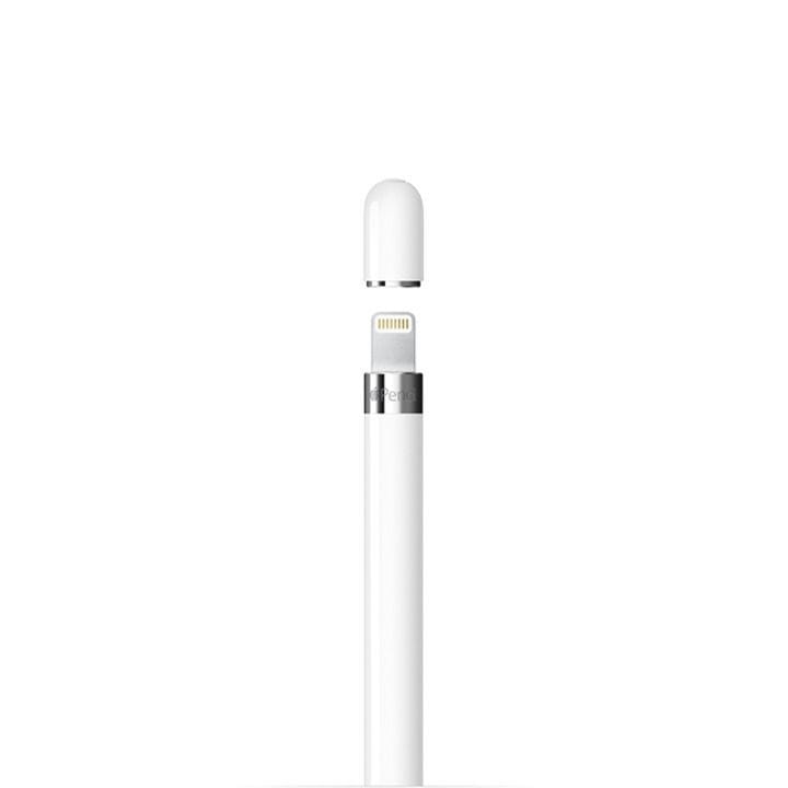 Buy Apple Pencil (1st Generation) |MQLY3ZM/A Online in Qatar at