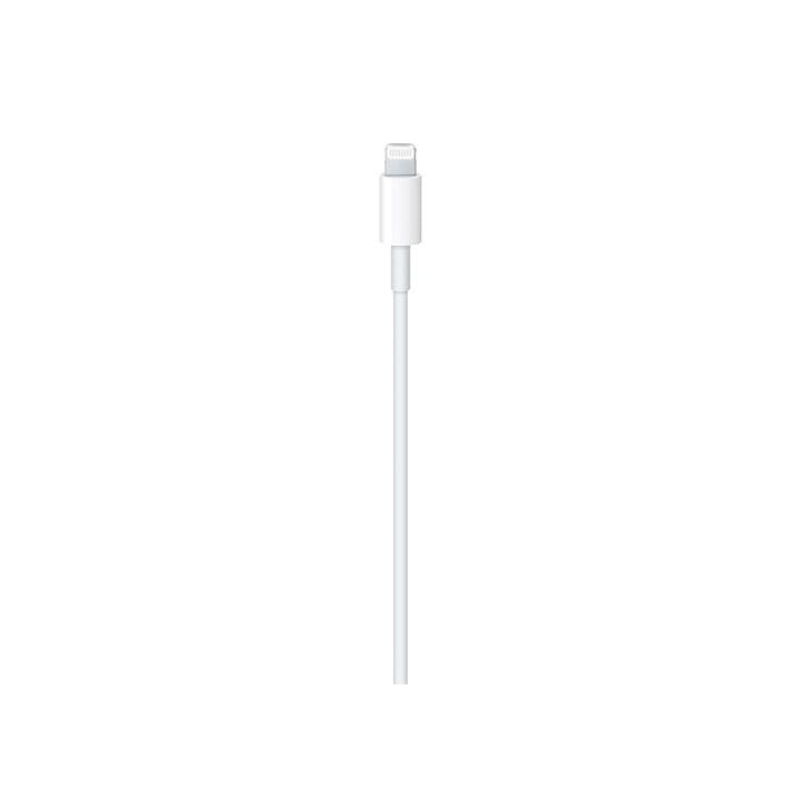 Apple USB-C to Lightning Cable 1M 