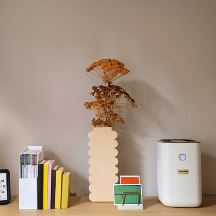 Karcher Air Purifier - AF20