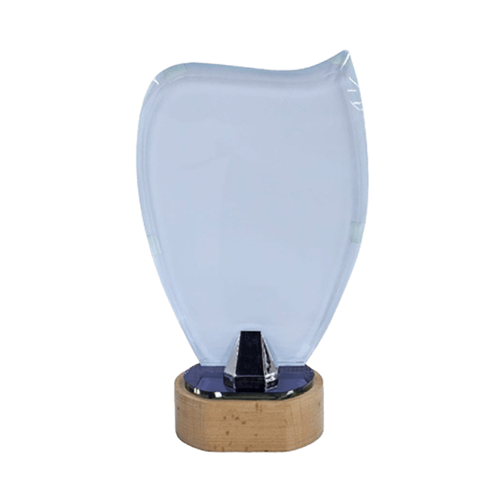 Customized Crystal Trophy Wooden Base with Your Personalized Design - CS-232096B