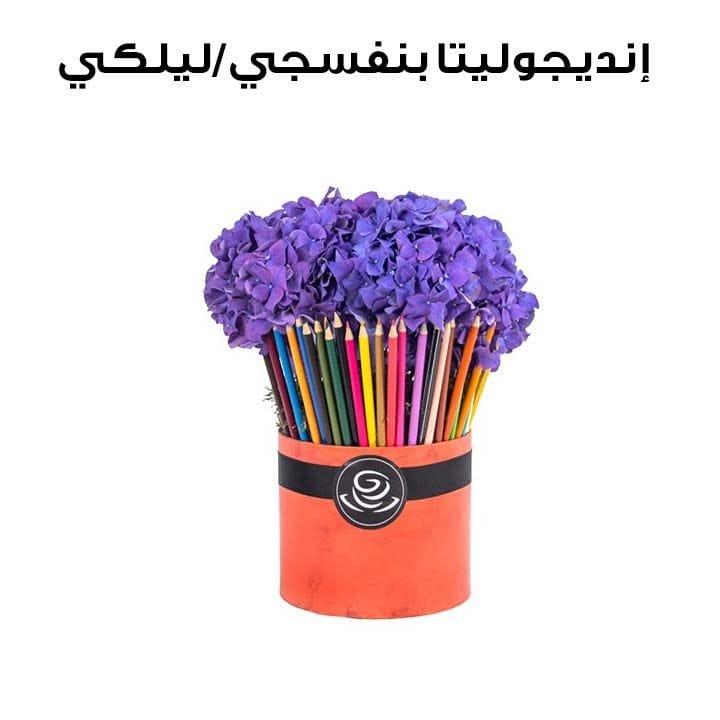 IndigoLetta | Purple/Violet