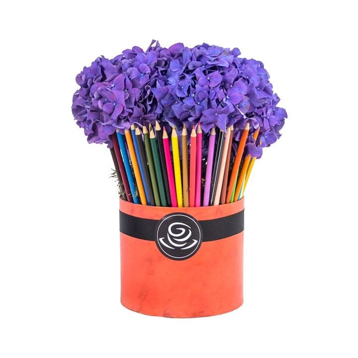 IndigoLetta | Purple/Violet