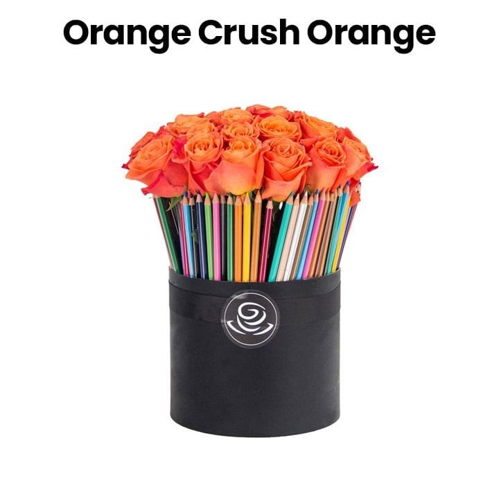Orange Crush | Orange