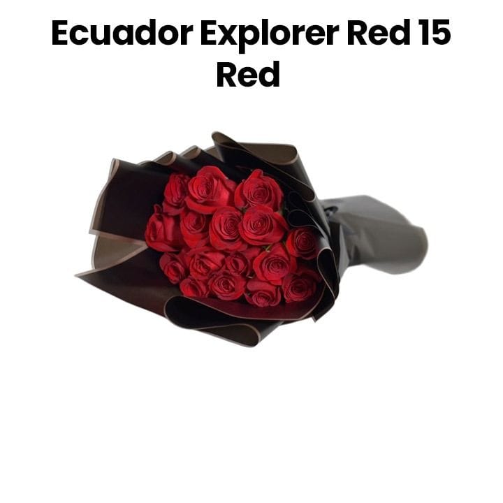 Ecuador Explorer 15 | Red