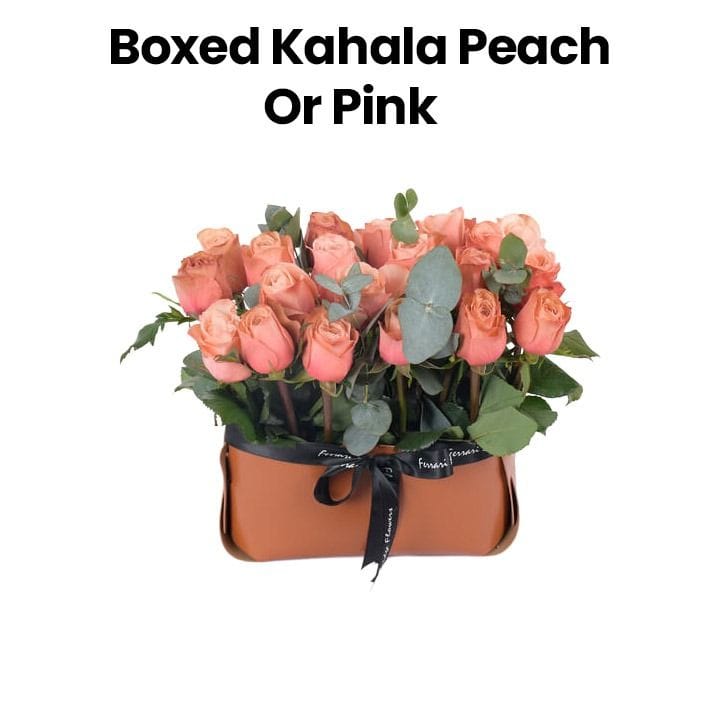 Boxed Kahala | Peach/Pink