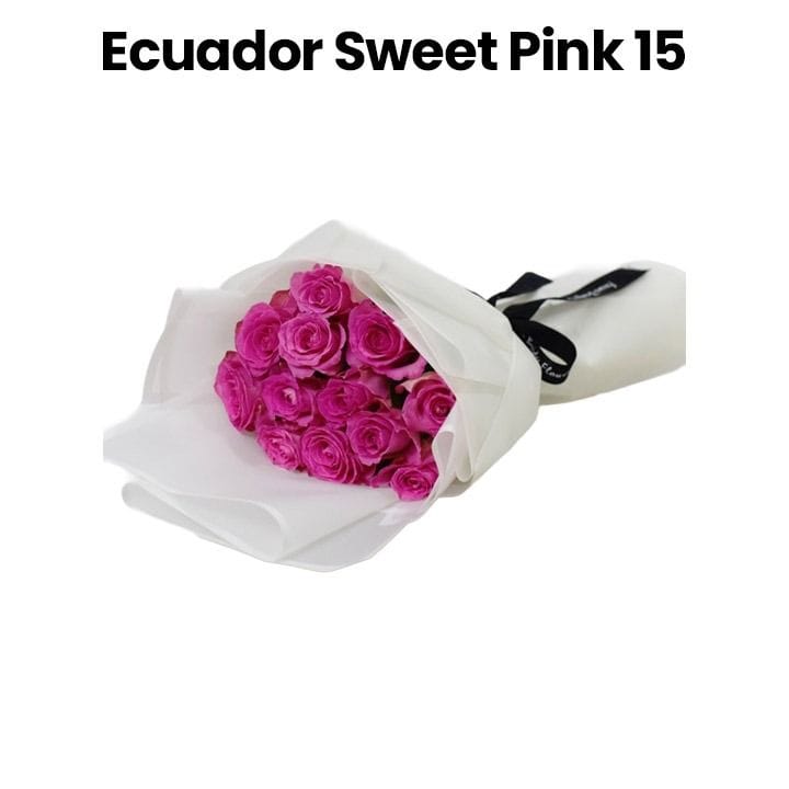 Ecuador Sweet Pink 15 | Light Pink