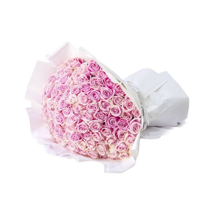 The Pink Cloud | Pink