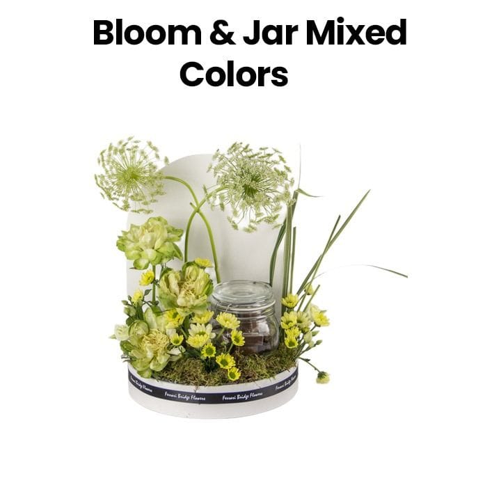 Bloom & Jar | Mixed Colors