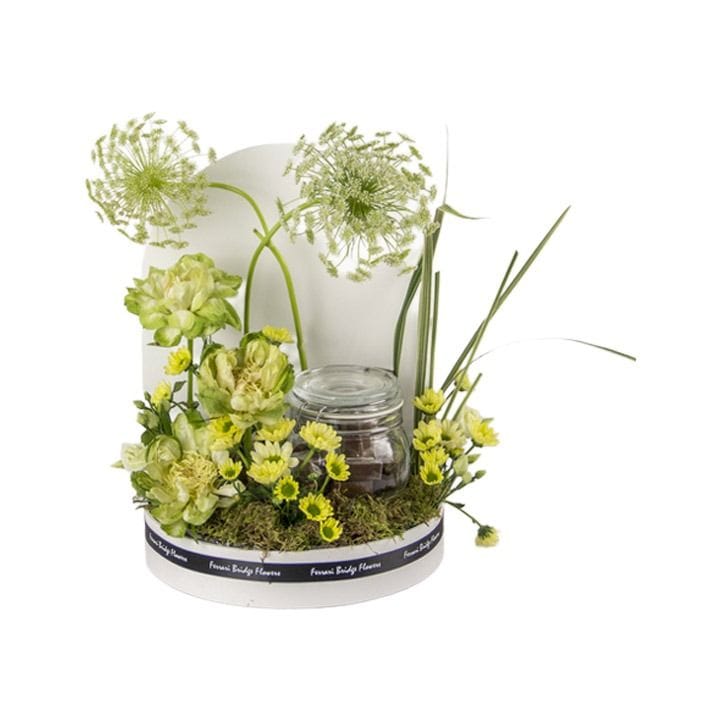 Bloom & Jar | Mixed Colors