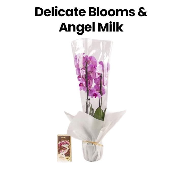 Delicate Blooms and Angel Milk | White/Light Pink