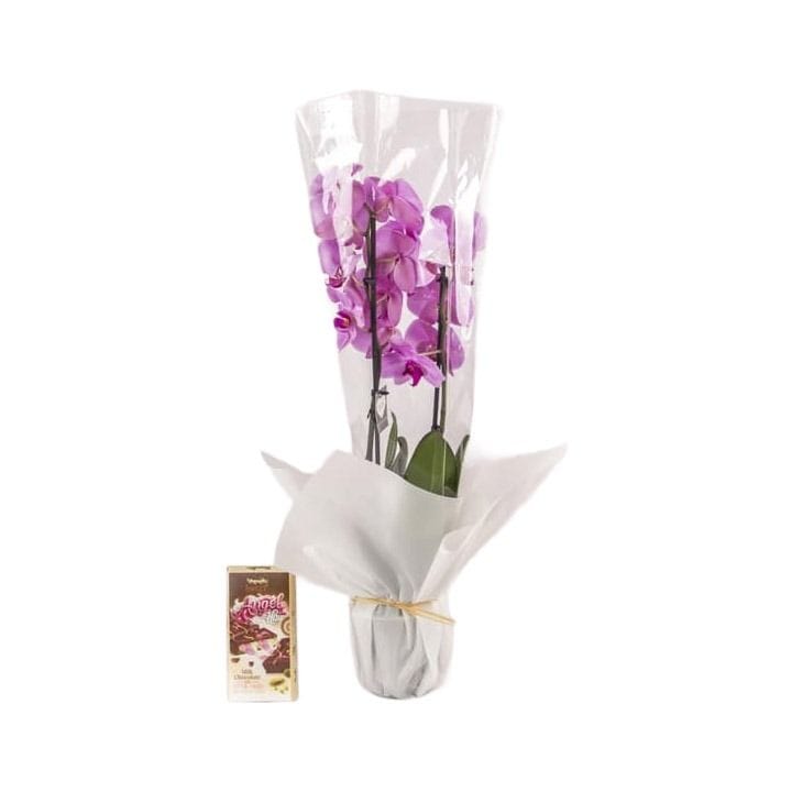 Delicate Blooms and Angel Milk | White/Light Pink