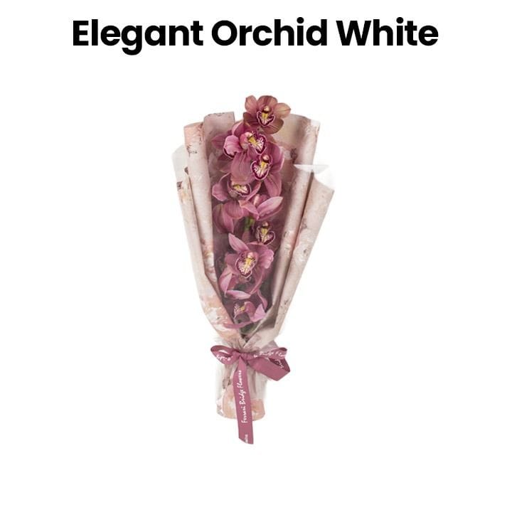 Elegant Orchid | White