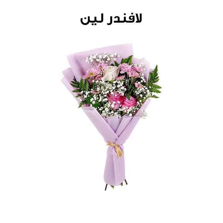 لافندر لين