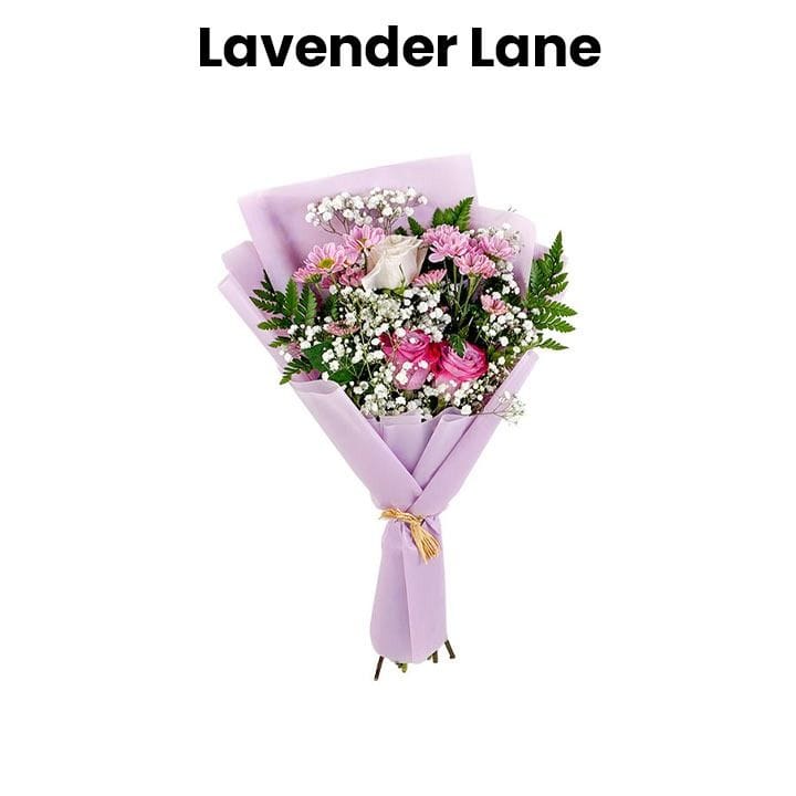Lavender Lane