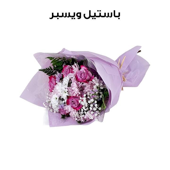 باستيل ويسبر