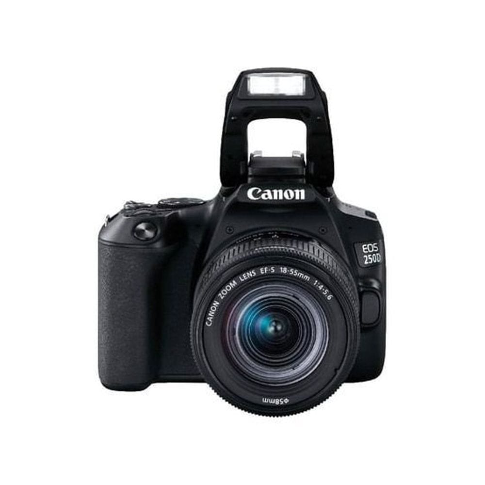 Canon EOS 250D DSLR Camera Double Lens Kit, 24.1MP APS-C Sensor, DIGIC 8 Processor, 4K Video, 18-55mm & 75-300mm Lenses, Dual Pixel CMOS AF | Black - 8714574661551