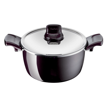 Tefal Resist Intense Stewpot, 22cm Non-Stick Aluminium Cookware, Durable Construction, Thermo-Signal Heat Indicator - D5224583