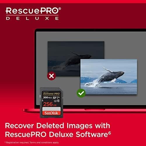 سانديسك إكستريم برو SD سعة 256 جيجابايت لتصوير فيديو 4K، UHS-I، فئة 10، U3، V30، أسود