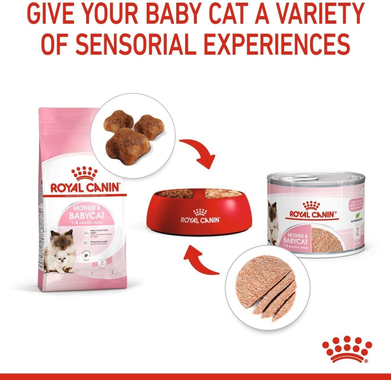 Royal Canin Mother & Babycat Wet Cat Food - Essential Nutrition for Kittens & Queens