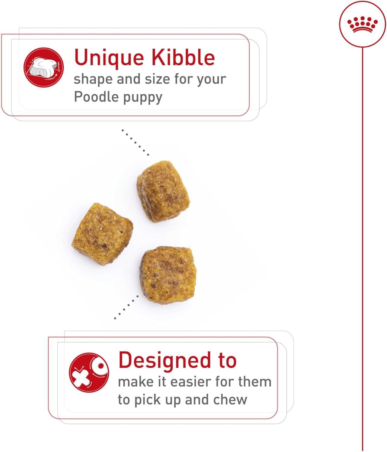 Royal Canin Poodle Puppy Dry Dog Food - 2.5 lb for Healthy Growth