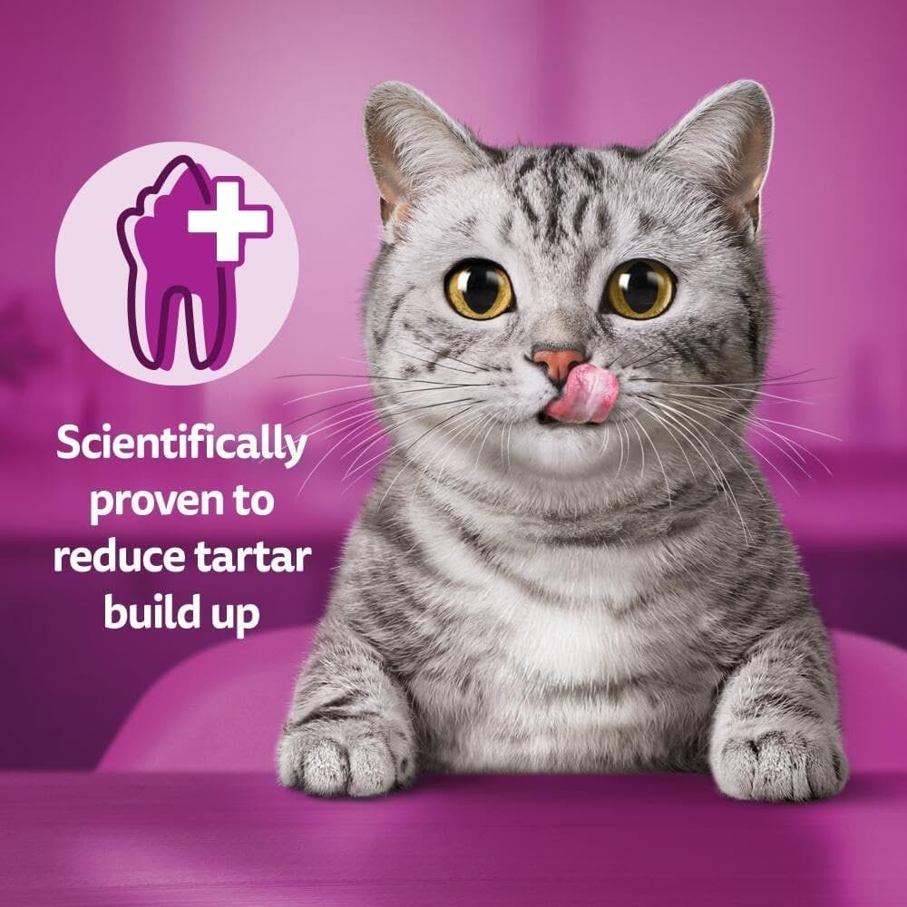 Whiskas DENTABITES CK - Crunchy Dental Treats for Cats (240g)
