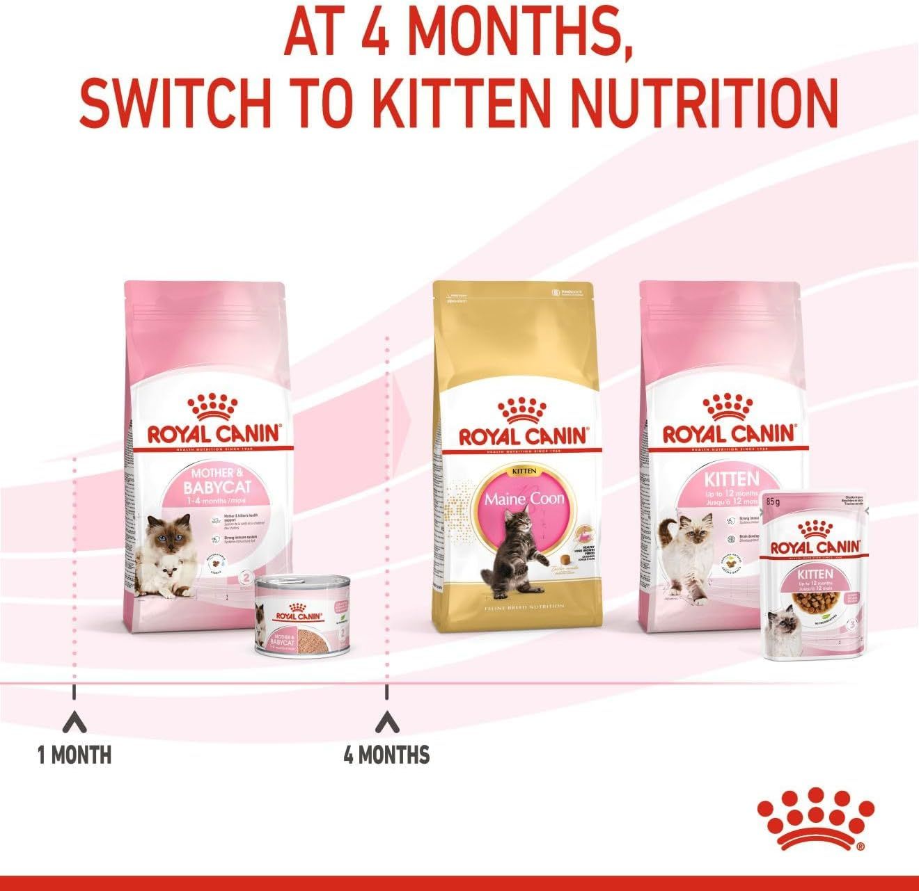 Royal Canin Mother & Babycat Wet Cat Food - Essential Nutrition for Kittens & Queens