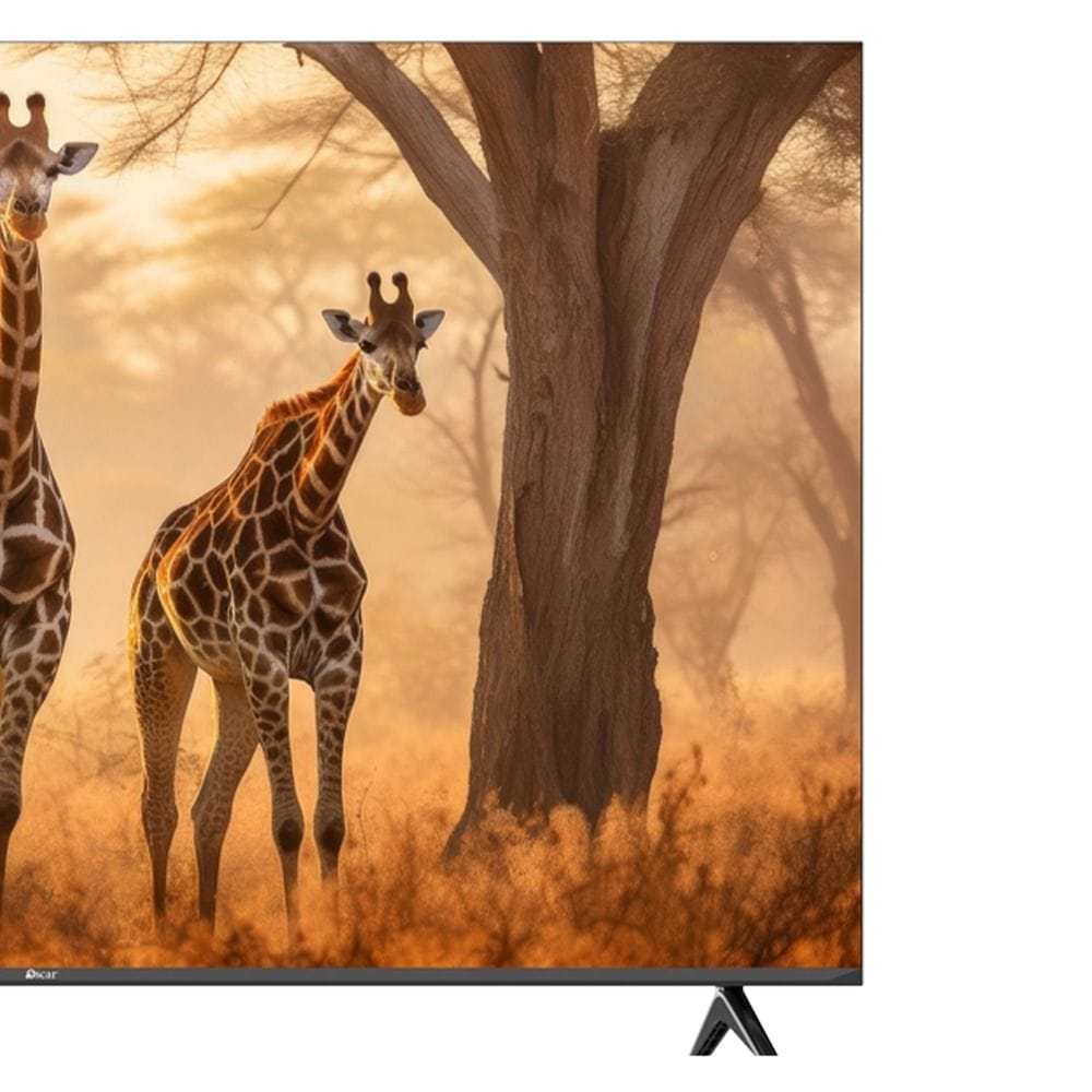 Oscar 55" Frameless QLED 4K UHD Smart WebOS TV, HDR10, Magic Remote, DVB-T2/S2 & CI Slot | Azeri - OS55QSW4KA