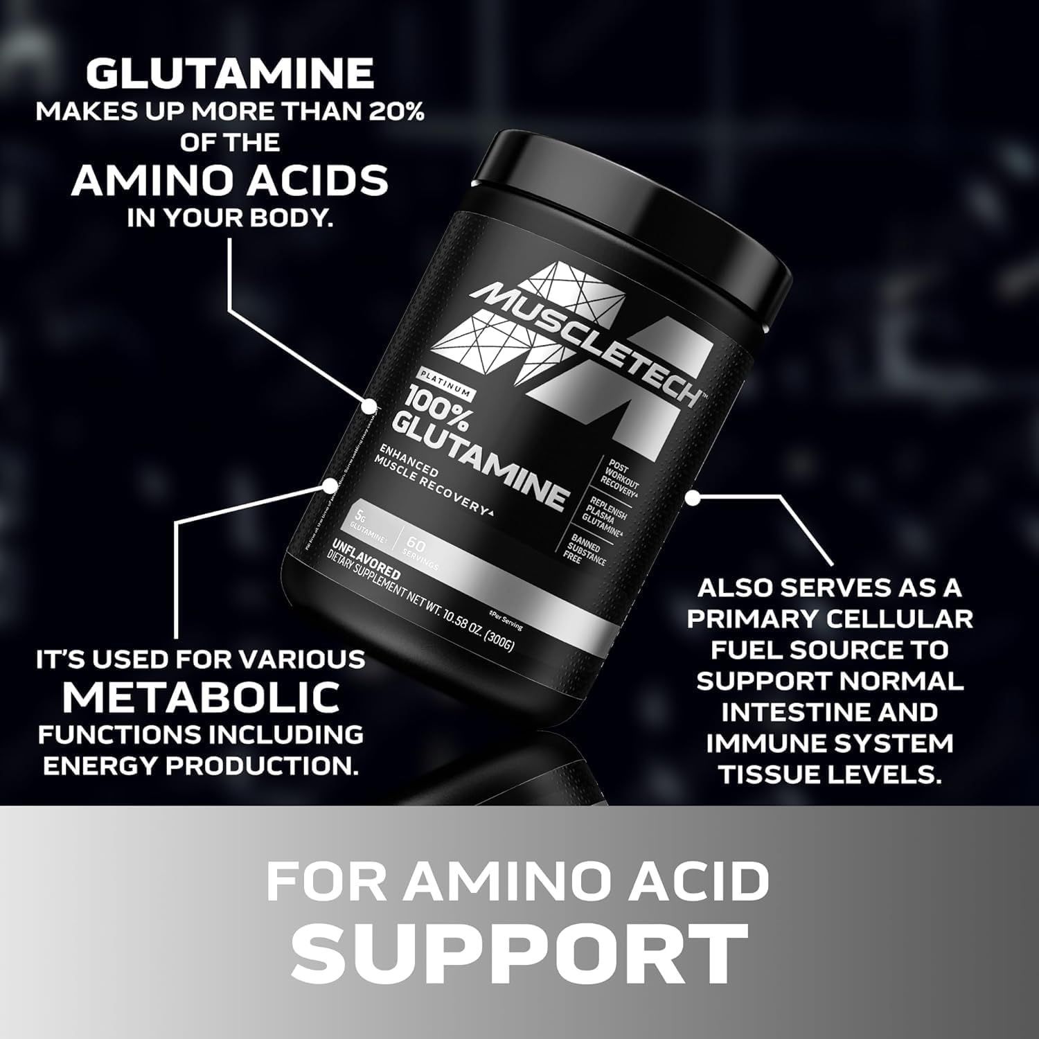 Muscletech Platinum 100% Glutamine Powder Post Workout Recovery & Muscle Support
