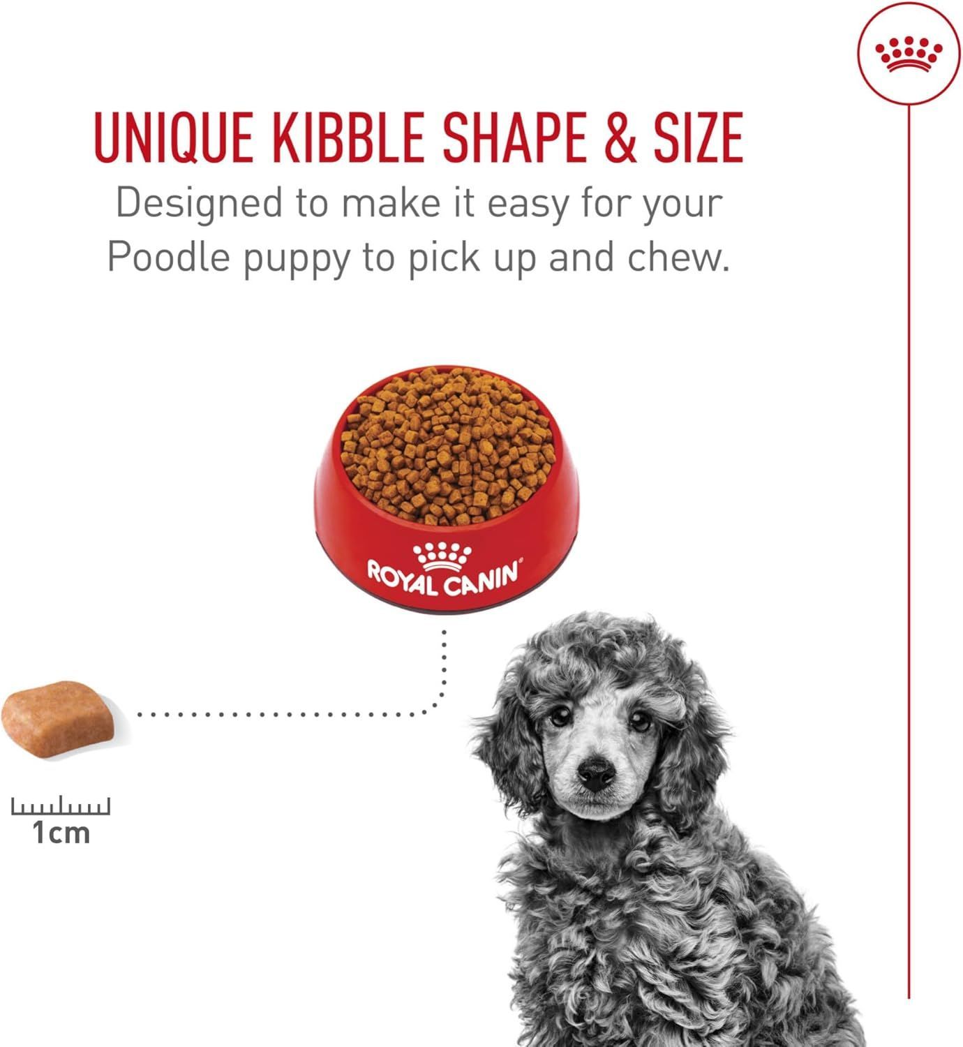 Royal Canin Poodle Puppy Dry Dog Food - 2.5 lb for Healthy Growth